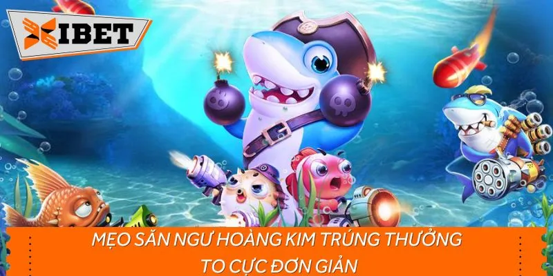 Mẹo săn ngư Hoàng Kim trúng thưởng to cực đơn giản