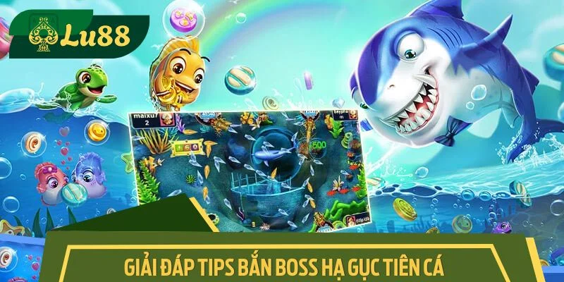 Giải đáp tips bắn boss hạ gục tiên cá nhận thưởng