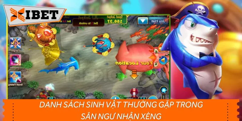 Danh sách sinh vật thường gặp trong săn ngư nhận xèng
