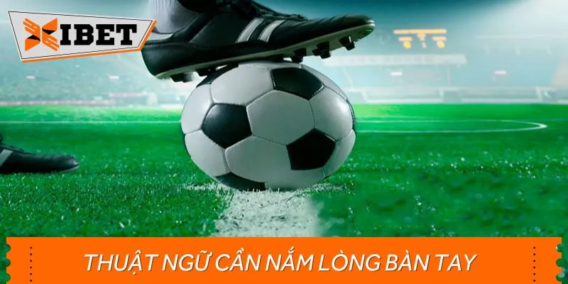 Bỏ túi các thuật ngữ khi đặt kèo Tài Xỉu