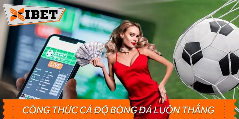 Giải Mã Công Thức Cá Độ Bóng Đá Luôn Thắng: Cẩm Nang Vàng Từ Xibet