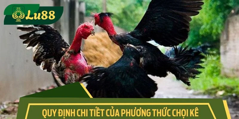 Quy định chi tiết của phương thức chọi kê truyền thống 