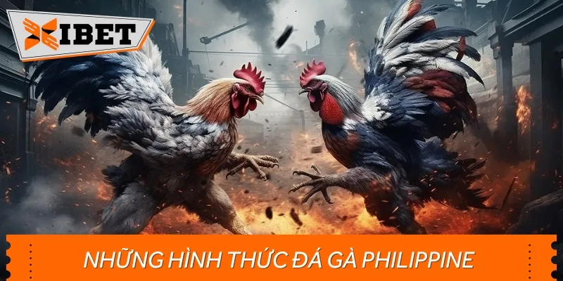 Các hình thức đá gà kiểu Philippines đa dạng, đem tới nhiều lựa chọn