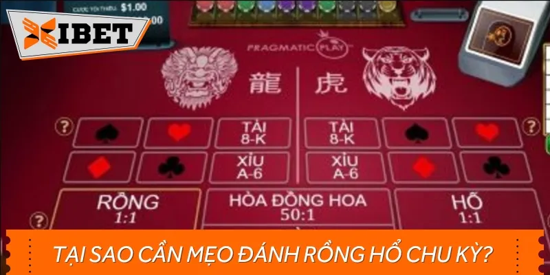 Có nhiều lý do để mọi người áp dụng mẹo đánh Rồng Hổ theo chu kỳ