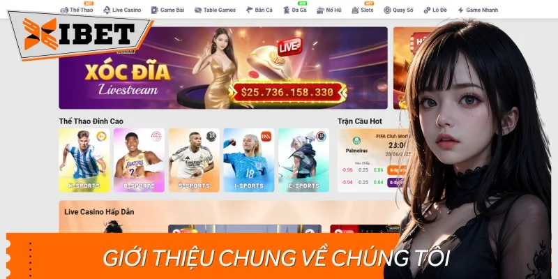 Giới thiệu khái quát về chúng tôi qua những thông tin tổng quan